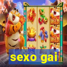 sexo gai